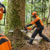 Benzin Motorsäge STIHL MS 881