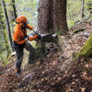 Benzin Motorsäge STIHL MS 462 C-M