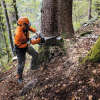 Benzin Motorsäge STIHL MS 462 C-M