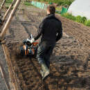 Benzin Motorhacke STIHL MH 585