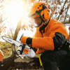 Benzin Baumpflegesäge STIHL MS 151 TC-E