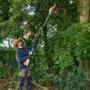 Akku Hochentaster STIHL HTA 66
