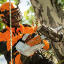 Akku Baumpflegesäge STIHL MSA 161 T
