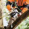 Akku Baumpflegesäge STIHL MSA 161 T