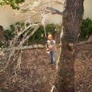 Akku Hochentaster STIHL HTA 50