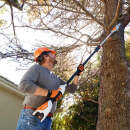 Akku Hochentaster STIHL HTA 50