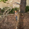 Akku Hochentaster STIHL HTA 50