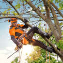 STIHL Kletterhose ADVANCE X-Climb