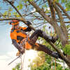 STIHL Kletterhose ADVANCE X-Climb
