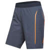 STIHL Shorts "TEC"