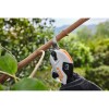 Akku Astschere STIHL ASA 20 im Set mit Akku AS 2 + Ladegerät AL 1