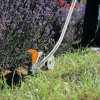 Kantenschneider STIHL FCB-KM