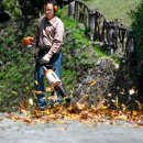 Blasgerät STIHL BG-KM