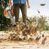 Laubbläser STIHL BG 56