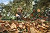 Akku Laubbläser STIHL BGA 110
